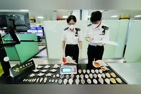 自投“螺网”！厦门海关截获32件二级保护水生动物制品图片