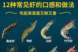 虾的品种区分，喜欢吃虾的了解一下图片