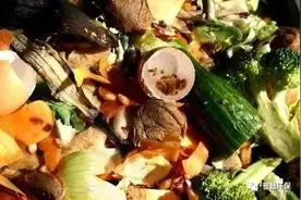 免费的机肥有哪些？你知道多少呢？图片