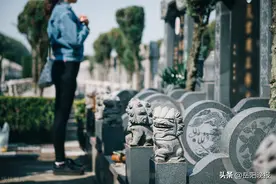 清明节有哪些习俗？图片