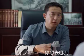 黄磊出演《县委大院》，不仅演技被群嘲，还因一句台词引热议图片