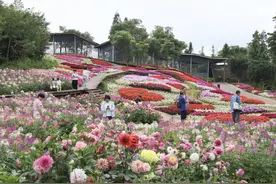 接下来的三个月，乌当“花花世界”这样看→图片