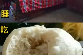 上海程序员晒出第一年到第八年日常餐，网友笑喷：虽搞笑却很真实图片