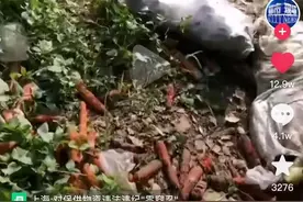 上海有孩子从方舱出来后父母都不要？当事人发声！松江郊外有包装蔬菜被丢弃？最新进展→图片