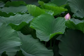 不欺暗室图片