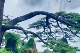 运交华盖欲何求？图片