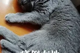 19岁少年酒后驾驶摩托车撞树身亡，其父母向同饮者索赔110余万，法院怎么判？图片