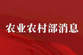 全国农垦粮油等主要作物20项高产高效技术及模式图片
