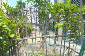责令整改！南昌保利和光业主铲除草皮、修建矮墙围庭院被投诉图片