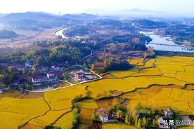 《基于乡村振兴生态农耕文明的哲学思考》图片