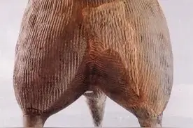 鬲罍瓿斝匜簋甗卣盉甑奁鬶怎么读？这里告诉你图片