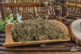 中药鹅不食草，有人知道它解表散寒，却不知道还是排石的“圣药”图片