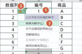 1分钟学会，数值型和文本型数字，早下班图片