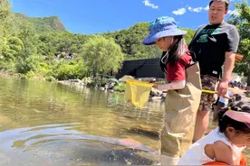 不远行就能夏日趟水，这些河边美景，溯溪、捞鱼、踩水花样样行图片