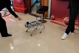 聚焦二十大，各广电推出了哪些融媒体作品？图片