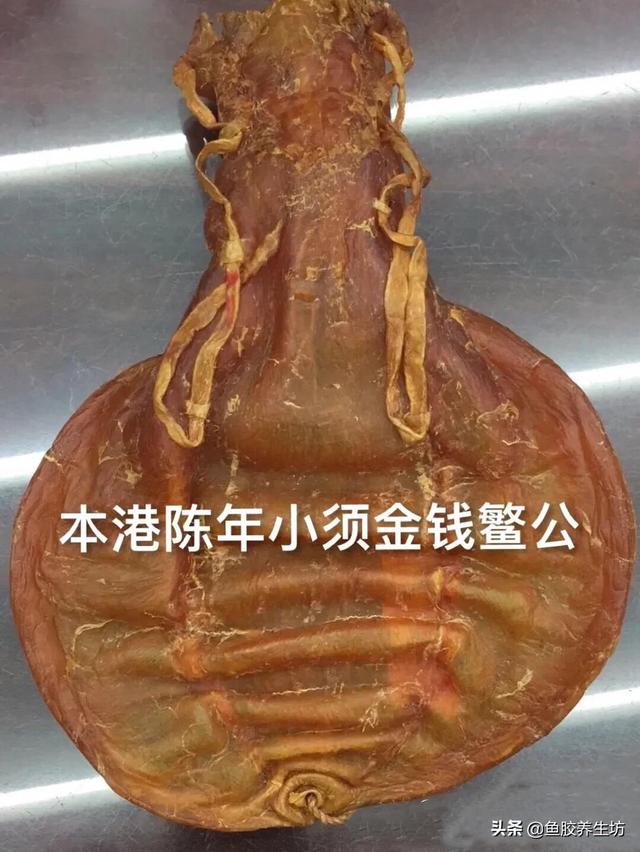竹叶胶是什么鱼的胶 2026年竹叶胶是很差的鱼胶吗