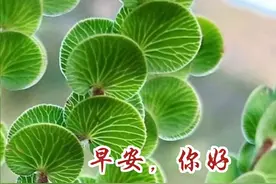 6月22日早上好各种祝福图片上午好最新祝福语 早安图片每日更新图片