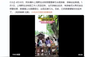 黑猩猩五一“上班”也烦躁！上海野生动物园回应称，有游客扔水果扔投喂，黑猩猩迅速回投图片