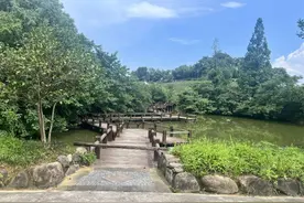 15岁男孩死死拉住她的手！警员赶到后惊了图片