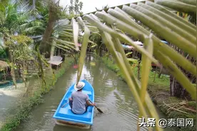 夏日畅享！泰国12家椰园咖啡店等你来打卡图片