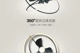 什么是风扇灯？是否值得购买？图片