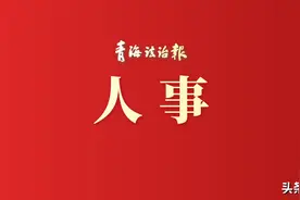 青海省政府最新两则职务任免通知图片