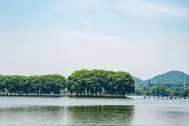 不出三环，这是属于武汉人的森林野趣图片