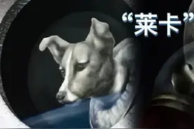 太空狗莱卡，第一个进入太空的地球生命图片