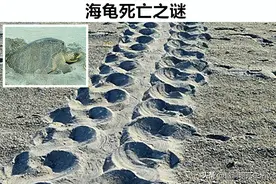 到目前为止，依然还让科学家无法解释的7个神秘现象图片