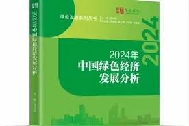 高质量发展下的绿色低碳转型之路 | 2024年绿皮书摘录图片