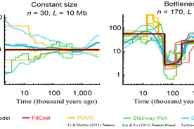 距今93万年前人类几近灭绝！上海科学家首次对古人类进行“人口普查”图片