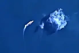 卫星拍到，福建舰旁出现巨大“水花”，难道在做抗冲击试验？图片