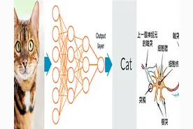神经网络专家告诉你，大脑为什么会思考？意识的科学解释是什么？图片