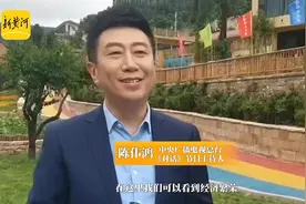 央视《对话》节目主持人陈伟鸿点赞乡村振兴齐鲁样板，称“山东经验特别值得全国各地共同借鉴”图片