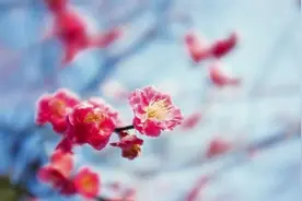 经典心灵鸡汤引述每句话，如果你无事可做，请阅读更多图片