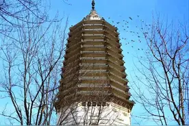【2024爱沈阳·春天花正开】一场偶然“错位” 平添一段白塔传奇 一塔一寺一公园 成就自然人文相融相生图片