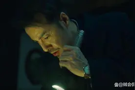 《无间》花向雨究竟是共产党还是国民党？观众为何会质疑她的身份图片