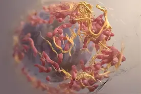 体检发现肿瘤标志物升高了怎么办？图片