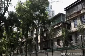 广州动物园：打造精品游玩环境 守护生物多样性图片