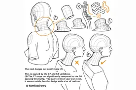 一篇解决！超详细的素描人体结构大全，精品收藏了！图片