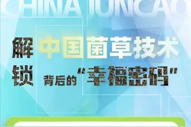科普图解 | 解锁中国菌草技术背后的“幸福密码”图片