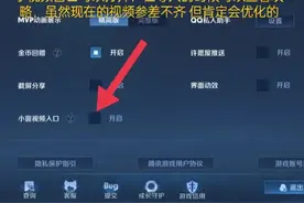 王者荣耀那些不起眼的设置，偏偏却很重要，你设置了嘛图片