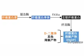 D-二聚体升高临床意义全解读，太实用了！图片