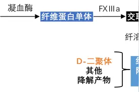 D-二聚体升高临床意义全解读，太实用了！图片