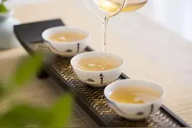 为什么在六大茶类中，白茶最“甜”？图片