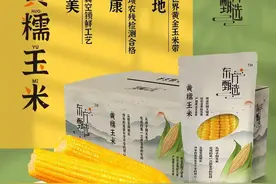 新东方的玉米卖到6元/根，可农民为啥还是不赚钱？图片