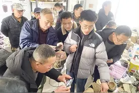 一代战神霍去病的封地，一村出了三个冠军侯—— 邓州冠军古村里，聆听岁月的回响图片