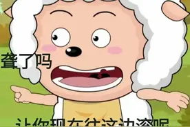 有趣的谐音梗图片