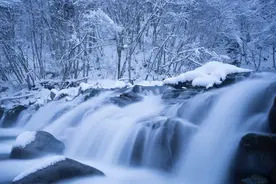 一场大雪美如画，十二首雪景的诗词，欣赏诗人笔下的绝美雪景图片