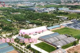 约四层楼高！济南这里惊现“巨大粉红猪”图片